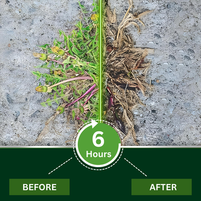 AEXZR® 2 in 1 Max Power Herbicide⚡The Dual-Action Powerhouse: Kills Weeds in 6 Hours, Defeats Glyphosate Resistance For Good.