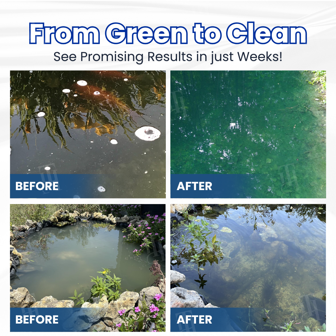 AEXZR® Aqua-Guardian Pro Formula🐟 ✨ From Swampy Green to Crystal Clear – Fast-Acting & Safe for Animals