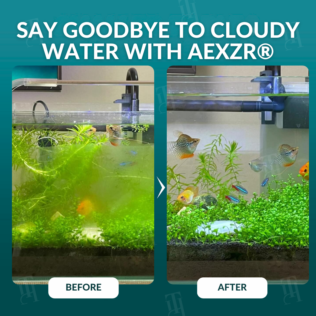 AEXZR® Aquariums Aqua-Guardian Blend✨ The Deep-Fusion Revival: Repairs Cracks & Restores Full-Grain Shine in 5 Minutes.