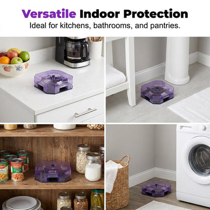 🔥Reusable Effective Roach Trap, Non-Toxic Sticky Cockroach Catcher for Kitchen Home Indoor Pest Control